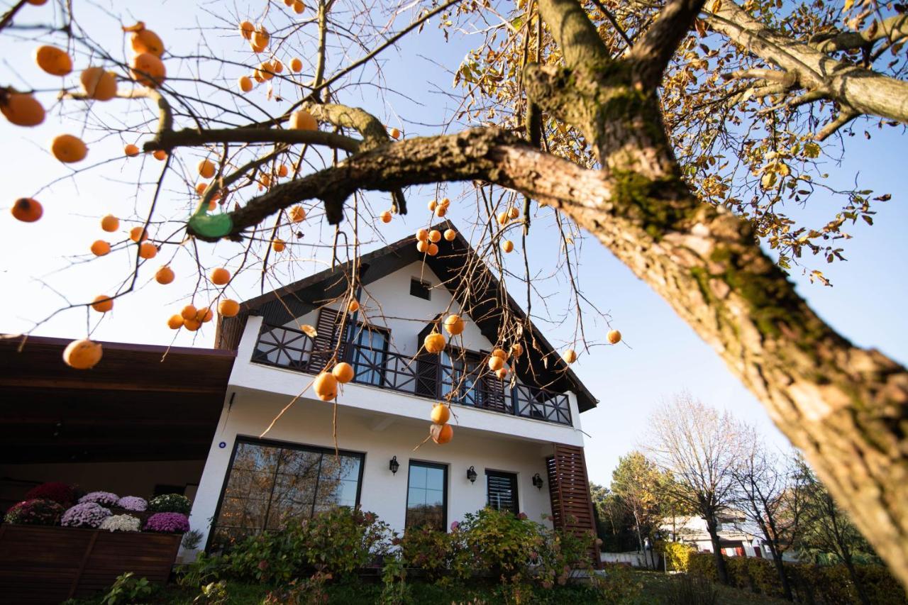 Villa Nora Butik Otel Ve Bungalov Bursa Ngoại thất bức ảnh